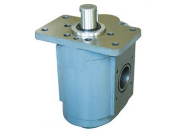 Шестеренный насос DCB-B160-FL