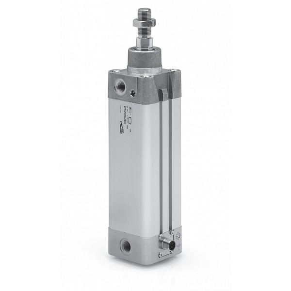 Пневмоцилиндр 6PF3P100A0300